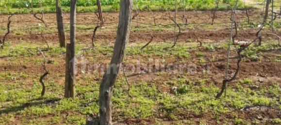 Grundstück in Nettuno, Italy 880m², Nr. 153791 15