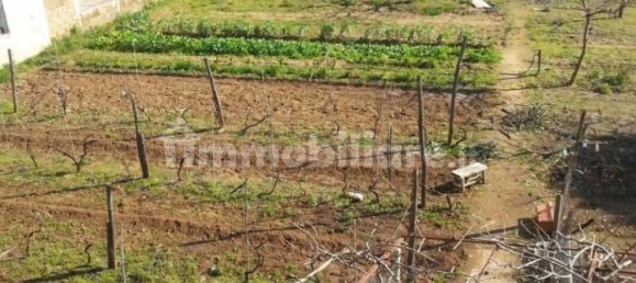 Grundstück in Nettuno, Italy 880m², Nr. 153791 16