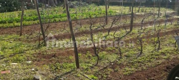 Grundstück in Nettuno, Italy 880m², Nr. 153791 19