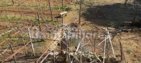 Grundstück in Nettuno, Italy 880m², Nr. 153791 3