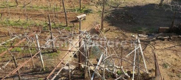 Grundstück in Nettuno, Italy 880m², Nr. 153791 18