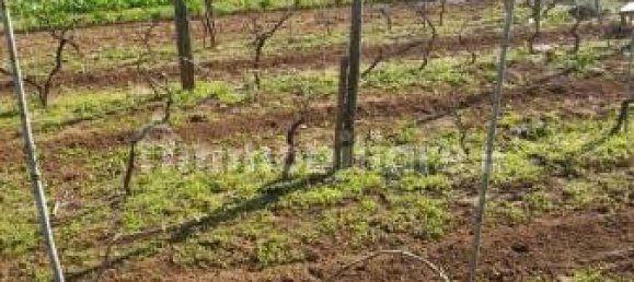 Grundstück in Nettuno, Italy 880m², Nr. 153791 5