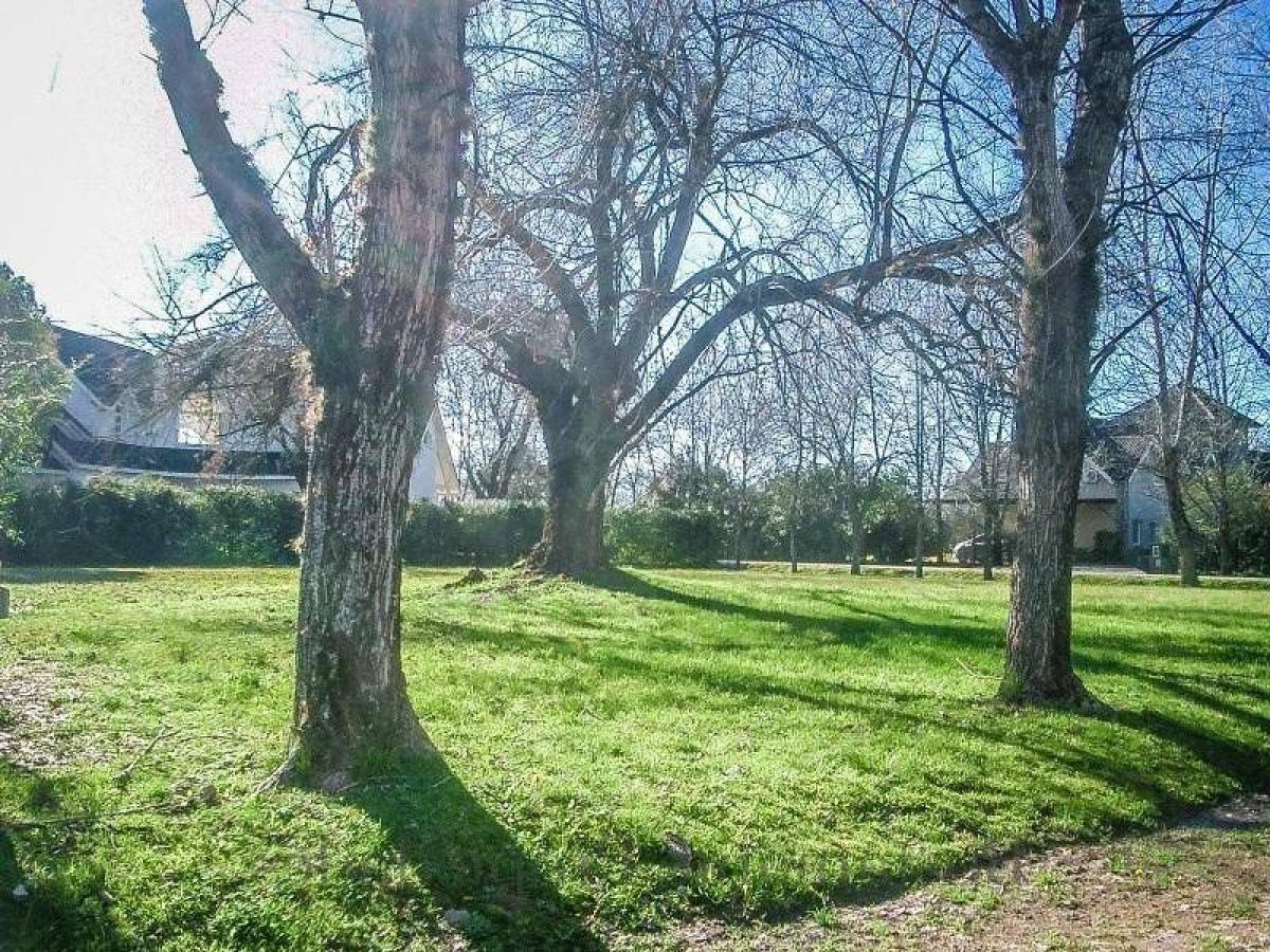 Terreno en Pilar, Argentina No. 113079