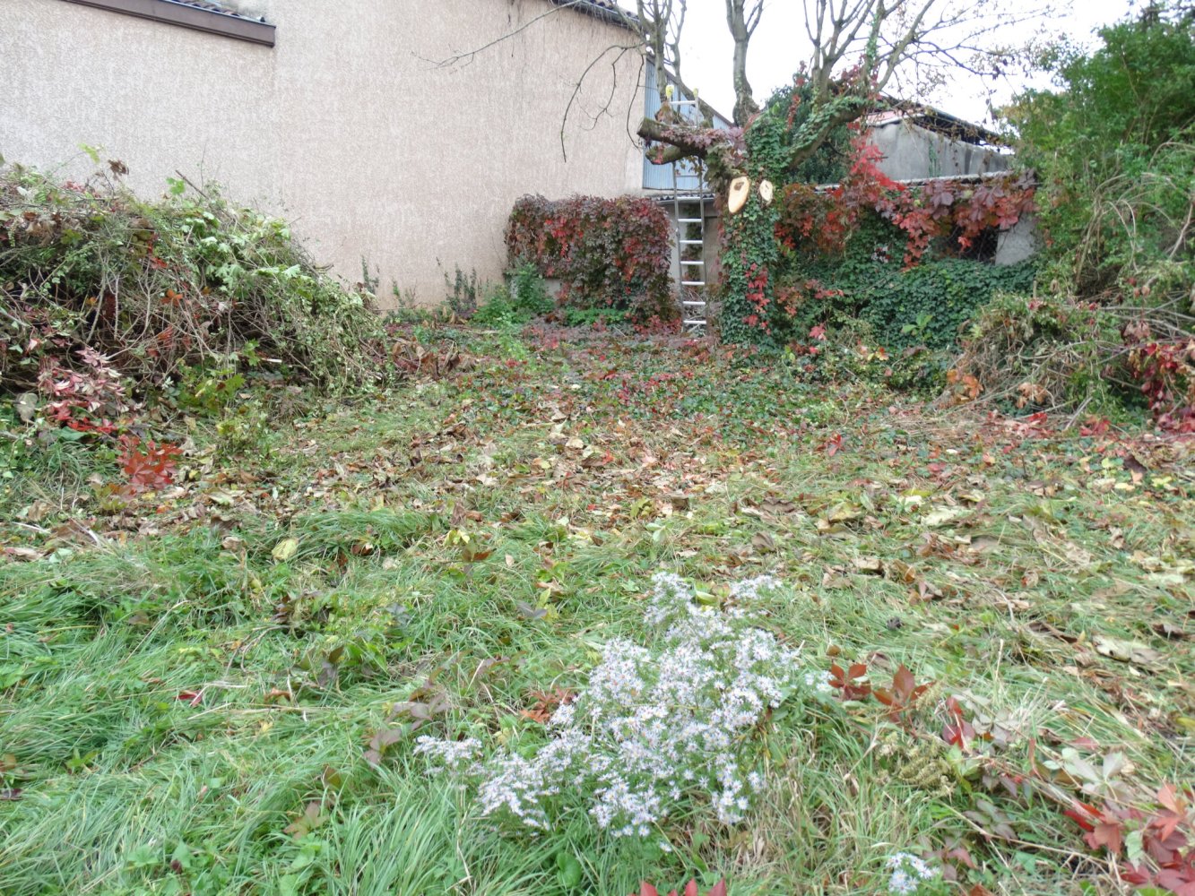  قطعة أرض في Simandres, France رقم 79515