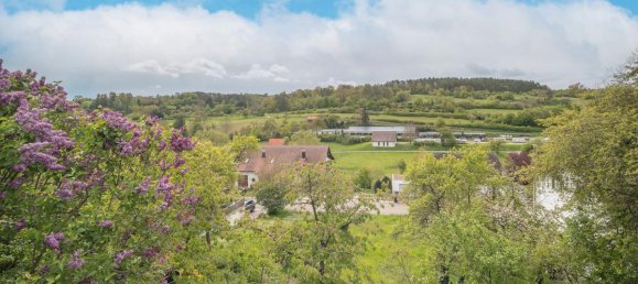 Дом с 9 комнатами в Баден-Вюртемберг, Германия № 44002 51