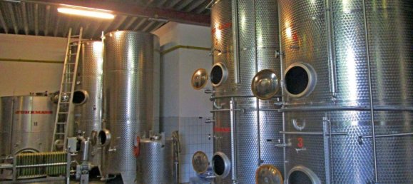 2900m² Commercial property in Langenlois, Austria No. 185004 18