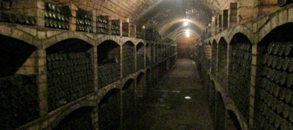 2900m² Commercial property in Langenlois, Austria No. 185004 8