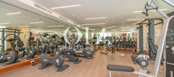 2 bedrooms Villa in Saadiyat Island, UAE No. 22173 11