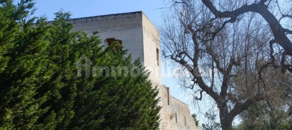 6 chambres Villa à Torchiarolo, Italy No. 340588 5