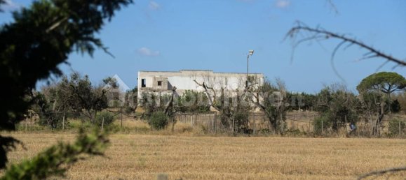 6 chambres Villa à Torchiarolo, Italy No. 340588 3