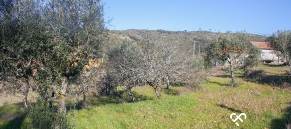 Land in Seixo da Beira, Portugal No. 68673 7