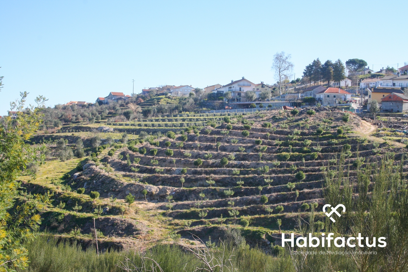 Land in Seixo da Beira, Portugal No. 68673