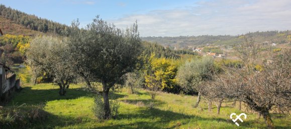  Land in Seixo da Beira, Portugal No. 68673 6