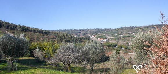  Land in Seixo da Beira, Portugal No. 68673 4