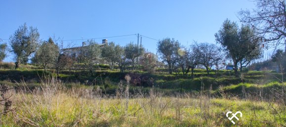  Land in Seixo da Beira, Portugal No. 68673 11
