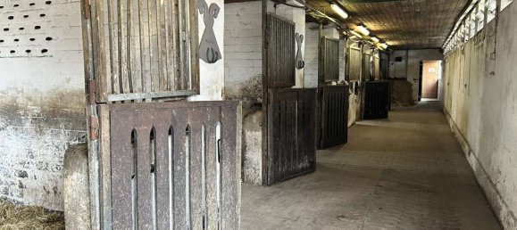 Granja de 12 dormitorios en Uelzen, Germany No. 177831 10