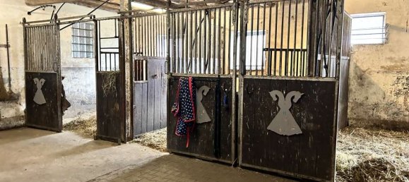 Granja de 12 dormitorios en Uelzen, Germany No. 177831 11