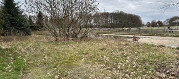 Granja de 12 dormitorios en Uelzen, Germany No. 177831 38