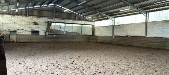 Granja de 12 dormitorios en Uelzen, Germany No. 177831 13