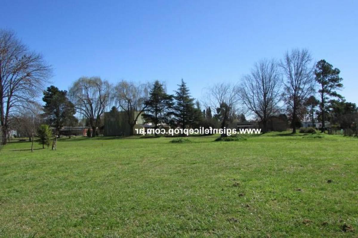  Land in Lobos, Argentina No. 47596