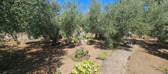 15 rooms Villa in Fiano Romano, Italy No. 1771 41