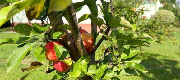 4-salle Bungalow à Seiersberg-Pirka, Austria No. 206013 30