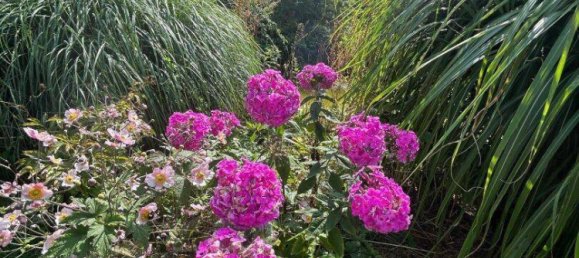 4-salle Bungalow à Seiersberg-Pirka, Austria No. 206013 36