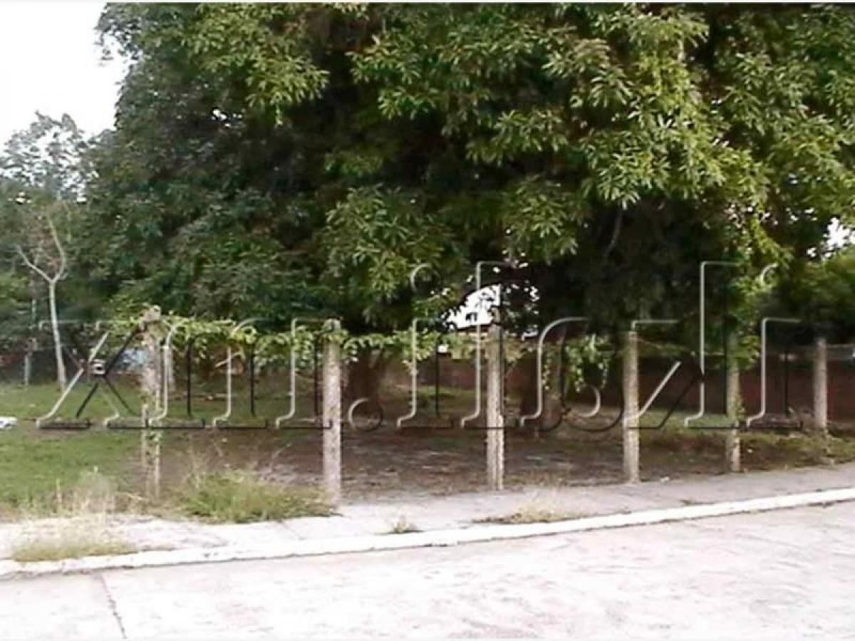  Land in Veracruz, Mexico No. 205692