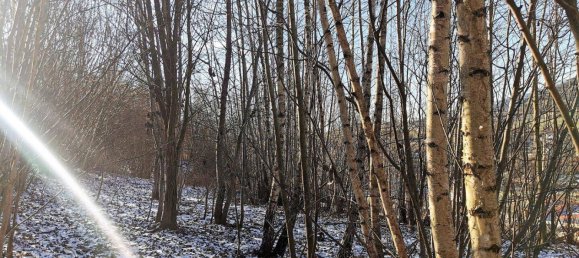 Terrain à Bruck-Murzzuschlag, Austria No. 69411 4