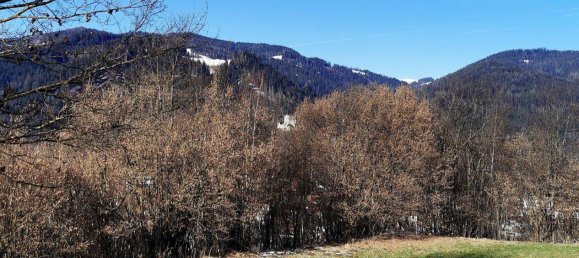 Terrain à Bruck-Murzzuschlag, Austria No. 69411 2