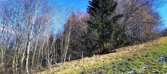 Terrain à Bruck-Murzzuschlag, Austria No. 69411 5