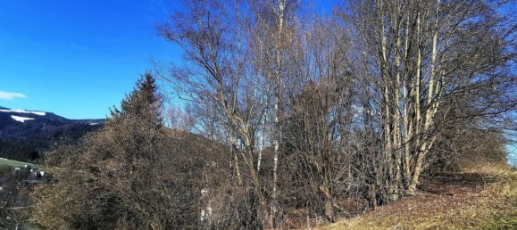 Terrain à Bruck-Murzzuschlag, Austria No. 69411 3