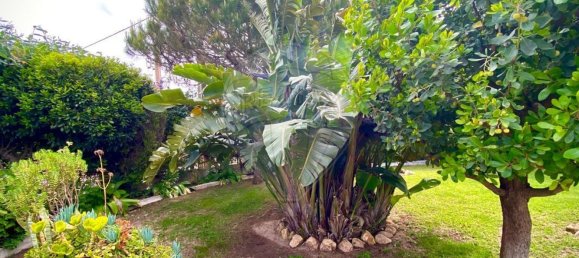 2 bedrooms House in Vila do Bispo, Portugal No. 17643 8