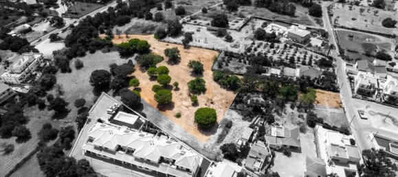 Grundstück in Almancil, Portugal, Nr. 306391 4