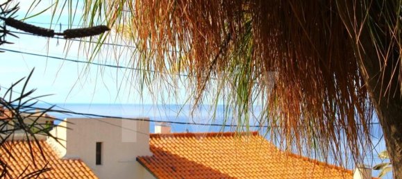 3 chambres Maison à Funchal, Portugal No. 77513 6