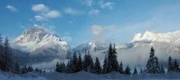 3300m² Land in San Vito di Cadore, Italy No. 275441 12