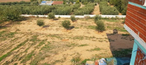 6 bedrooms Villa in Chalkidiki, Greece No. 1425 12