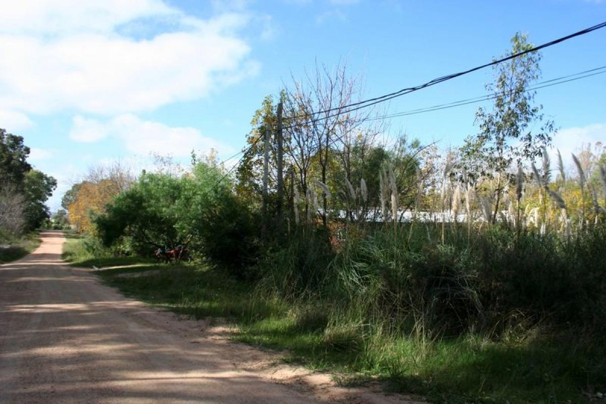  قطعة أرض في Maldonado, Uruguay رقم 14185