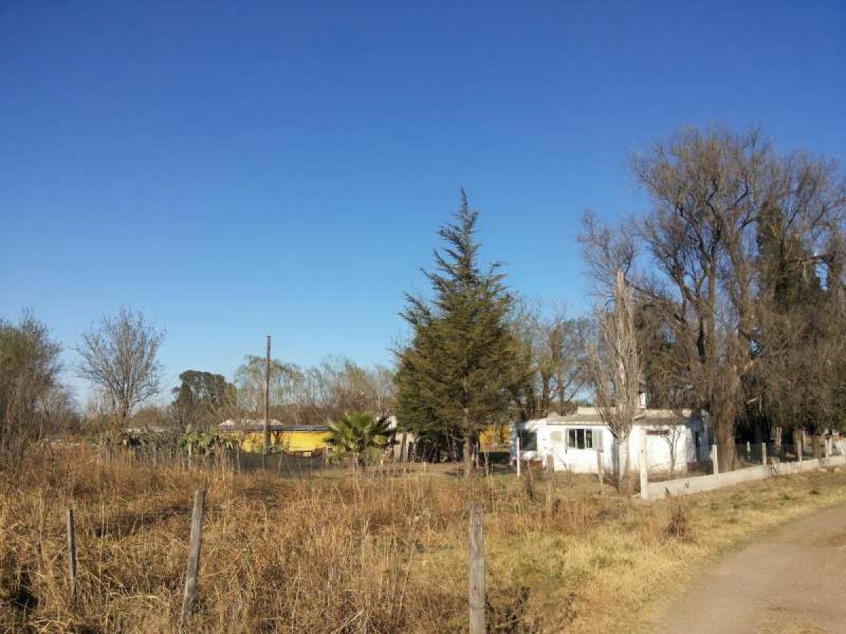 Gewerbliche Immobilie in Cordoba, Argentina, Nr. 25623