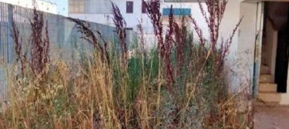 3-Zimmer Haus in Fiumicino, Italy, Nr. 200774 6