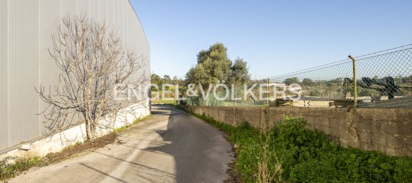 1 room Commercial property in Seixal, Portugal No. 102690 8