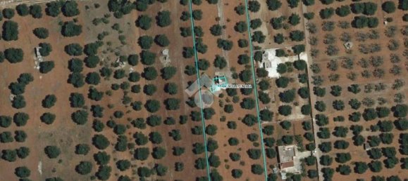 2 rooms House in Francavilla Fontana, Italy No. 348179 15