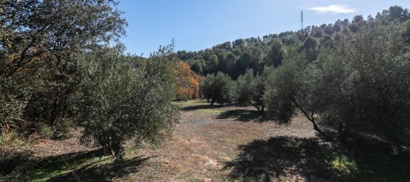 26000m² Land in Albolote, Spain No. 108053 5