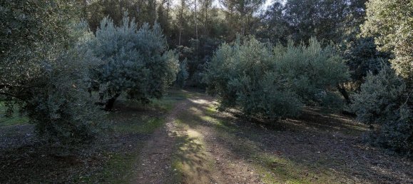 26000m² Land in Albolote, Spain No. 108053 3