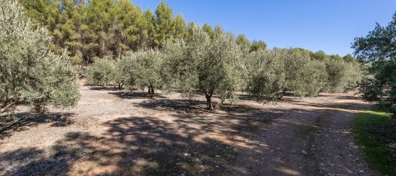 26000m² Land in Albolote, Spain No. 108053 7