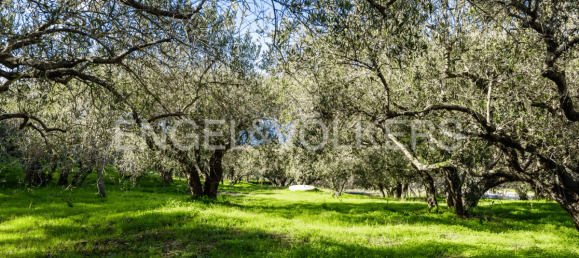 6 bedrooms Villa in Naso, Italy No. 132420 7