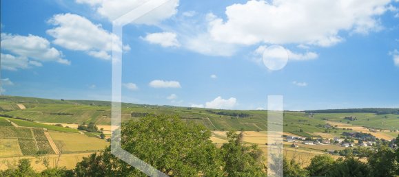 4 chambres Maison à Sancerre, France No. 61390 16