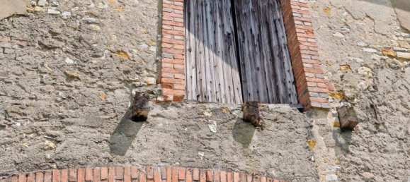 Edificio en Villedieu-sur-Indre, France 848 m² No. 38619 6