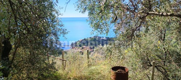 Terreno en Monterosso al Mare, Italy 3500 m² No. 296485 14