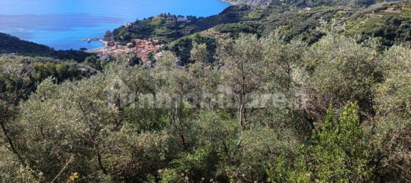 Terreno en Monterosso al Mare, Italy 3500 m² No. 296485 11